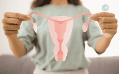 SOPK (Syndrôme des Ovaires Polykystiques)